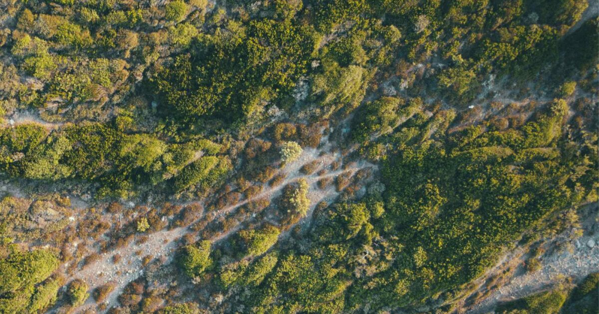 15 things you need to know about sustainable fashion and beauty this April - Good On You