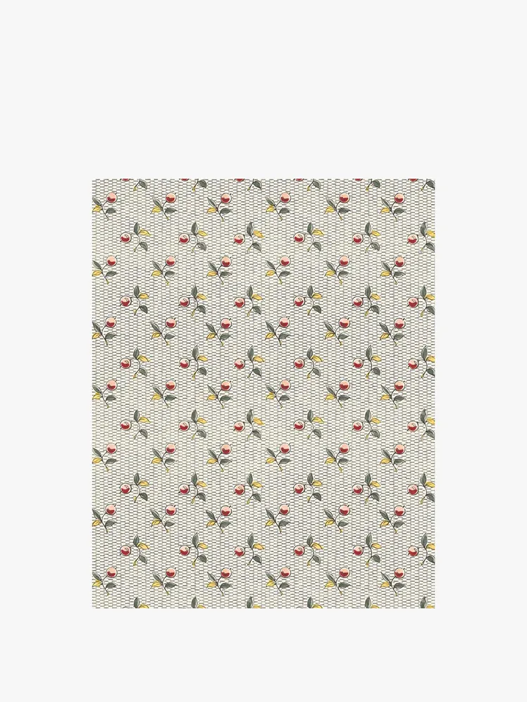 Image may contain: upholstery and rug