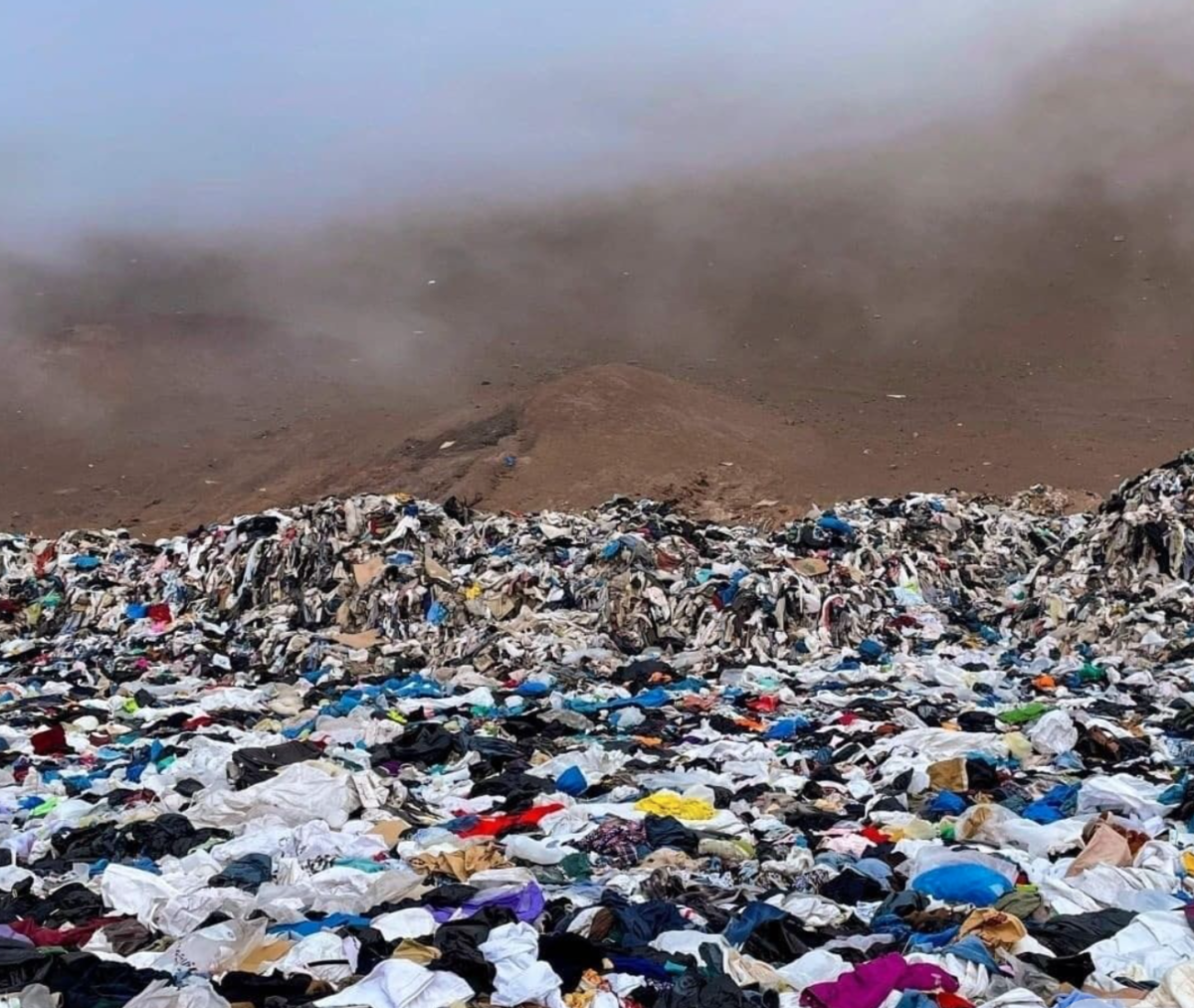 Fast fashion clothing is a bargain, but it's destroying the planet.